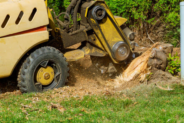 Mulching Services in Grand Coulee, WA